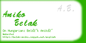 aniko belak business card